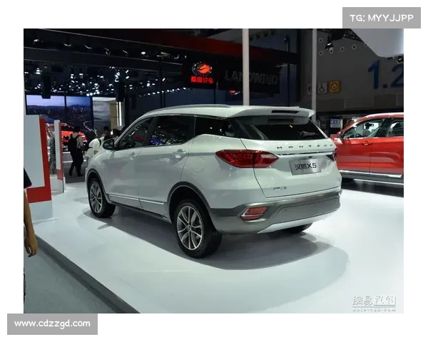 信息图 一分钟读懂全新汉腾X5